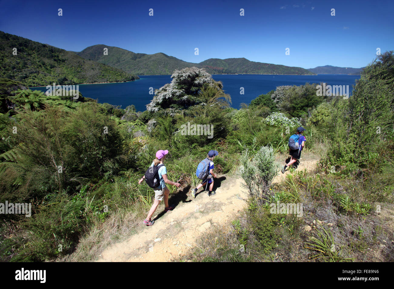 Woman with two children walking the Queen Charlotte track, Marlborough, New Zealand Stock Photo