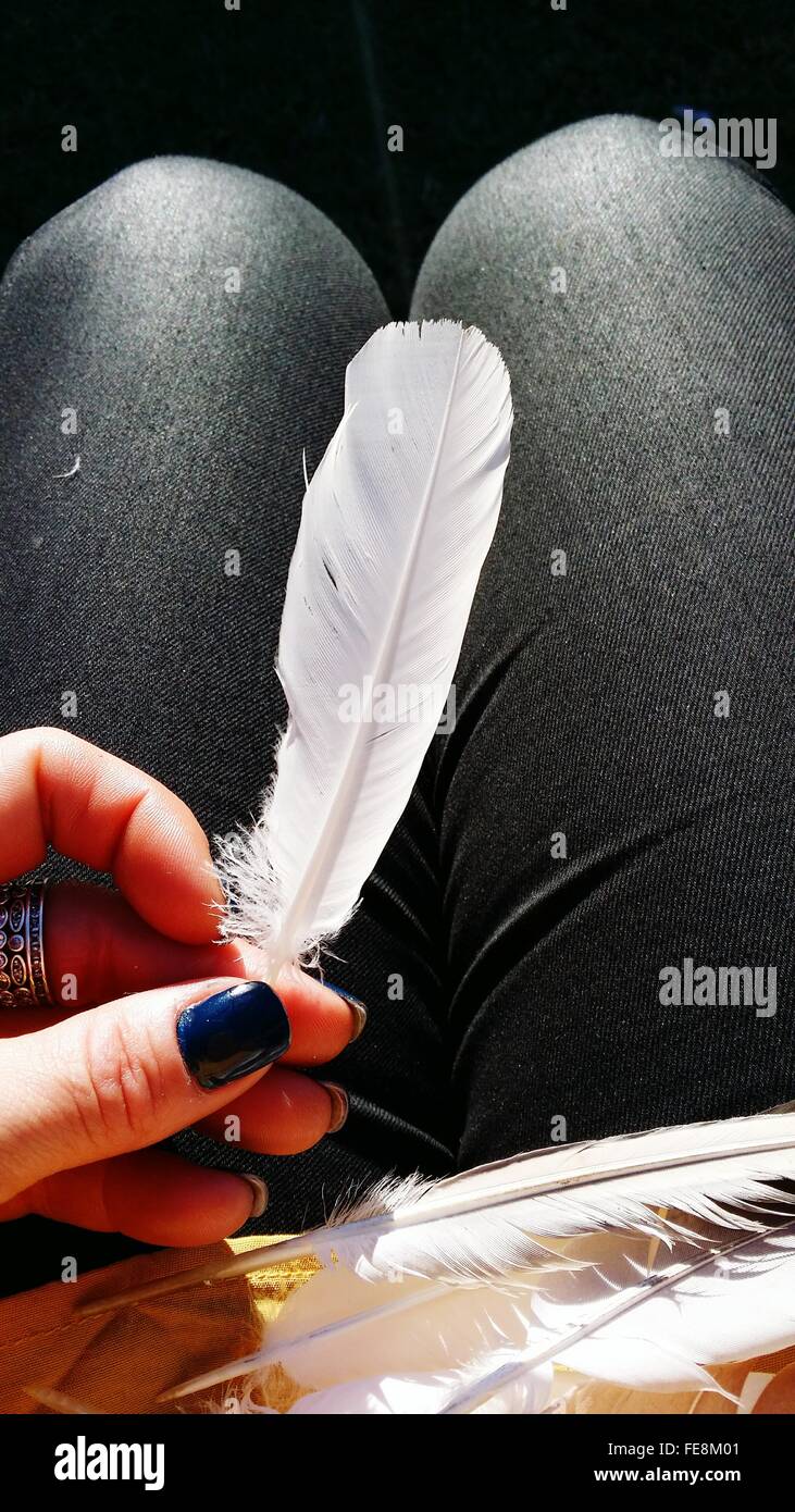 CloseUp Of Hand Holding Feather Stock Photo Alamy