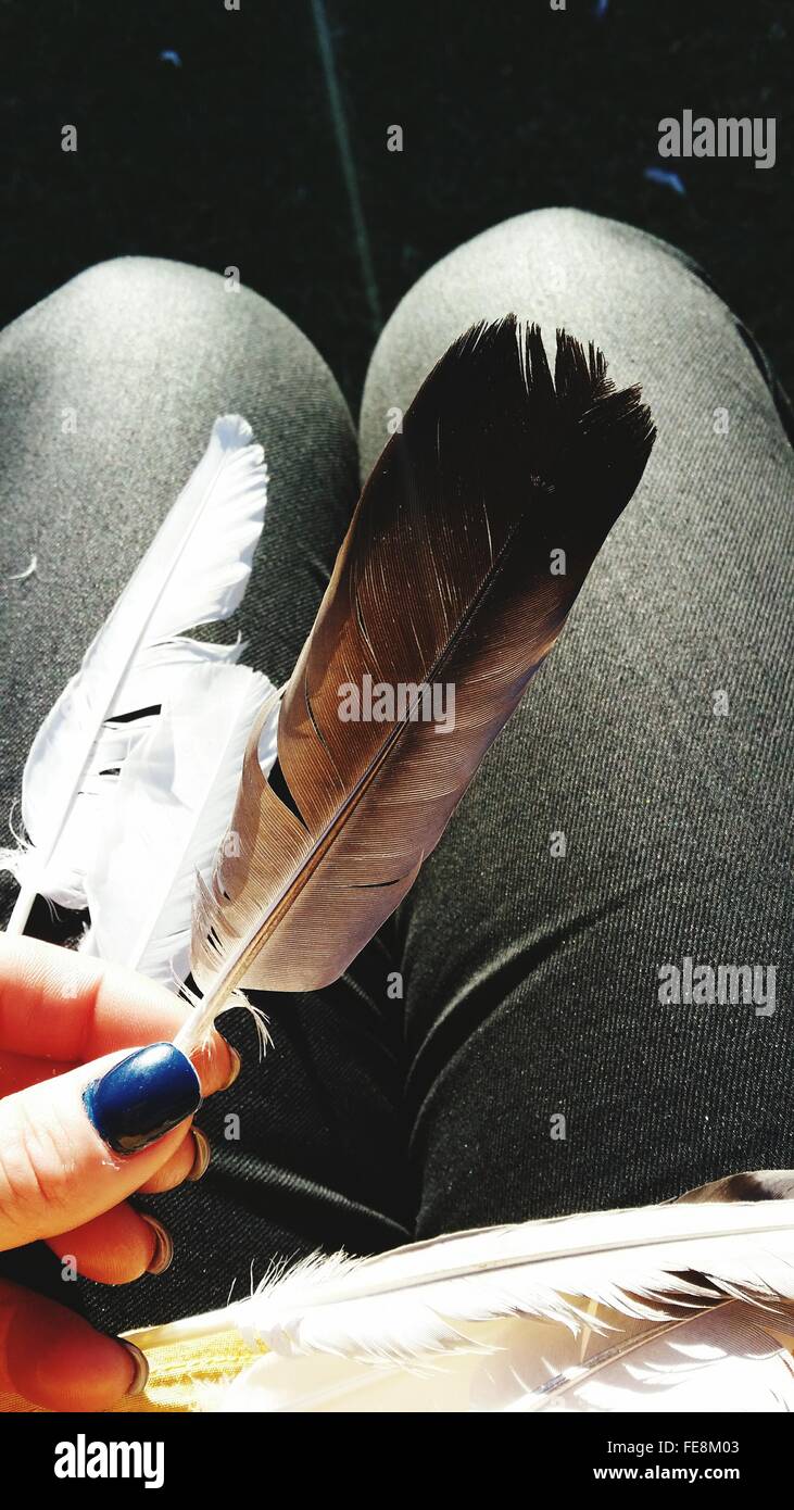 Close up hand holding feathers hires stock photography and images Alamy