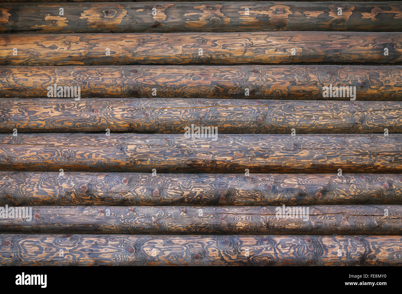 Natural background, wooden logs texture closeup. Logs are treated in a special way, so that their texture strongly contrasting. Stock Photo