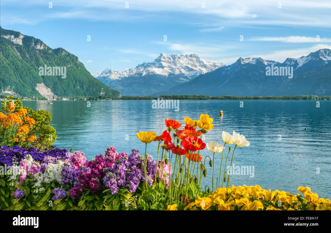 Spring Flowers am Quai des Fleures, Montreux, Lake Geneva Stock Photo