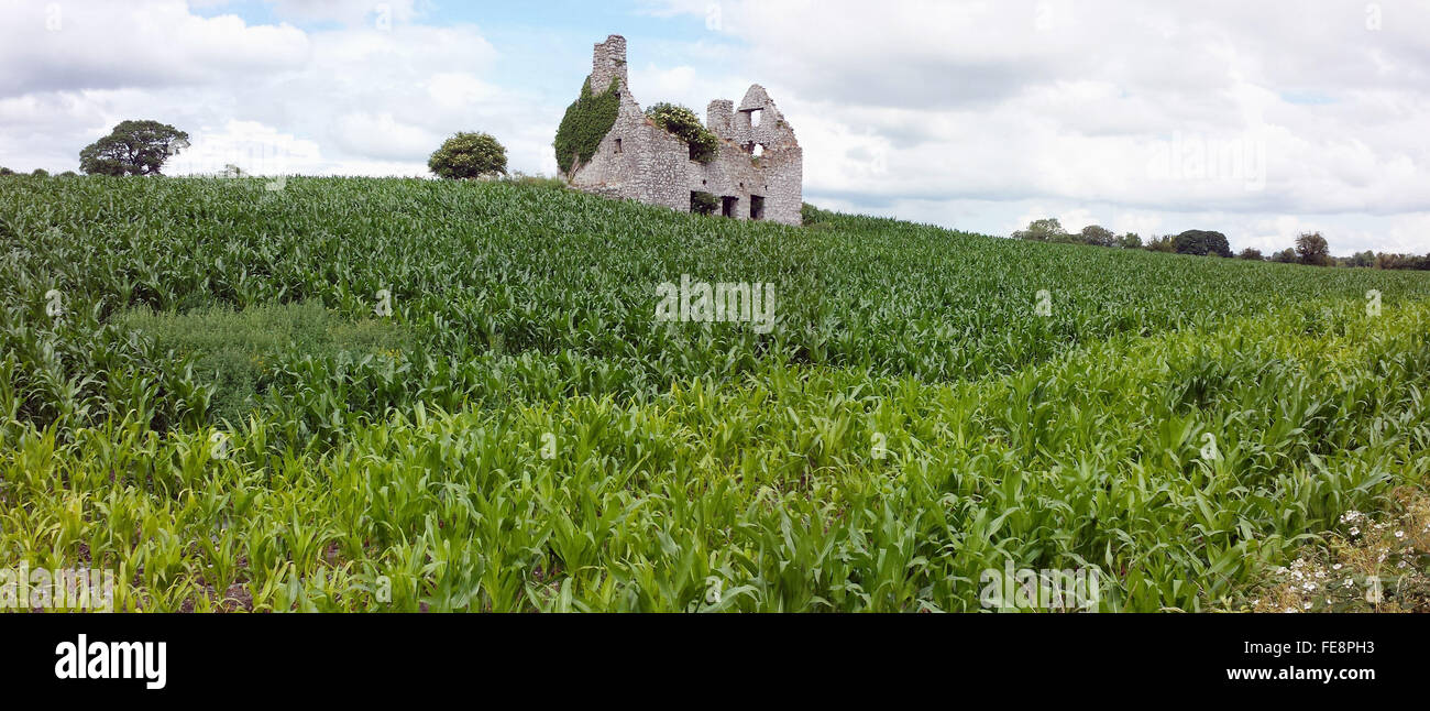 Old Ruined Cottage In Green Field Stock Photo