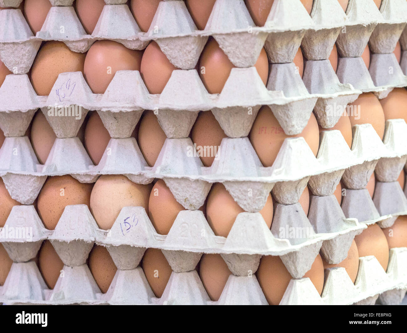 Trays Of Eggs Stock Photo Alamy