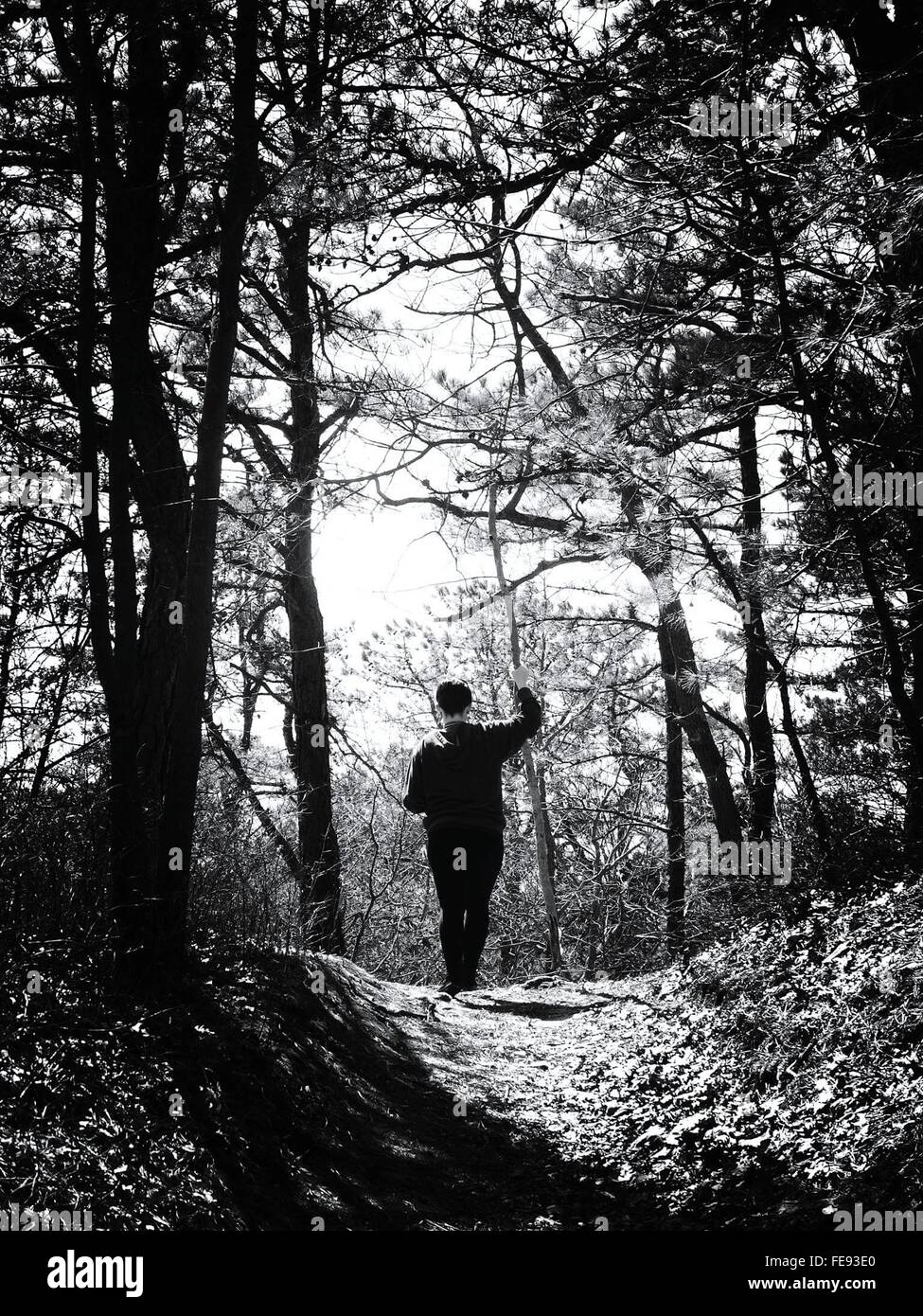 Man from rear forest hi-res stock photography and images - Alamy