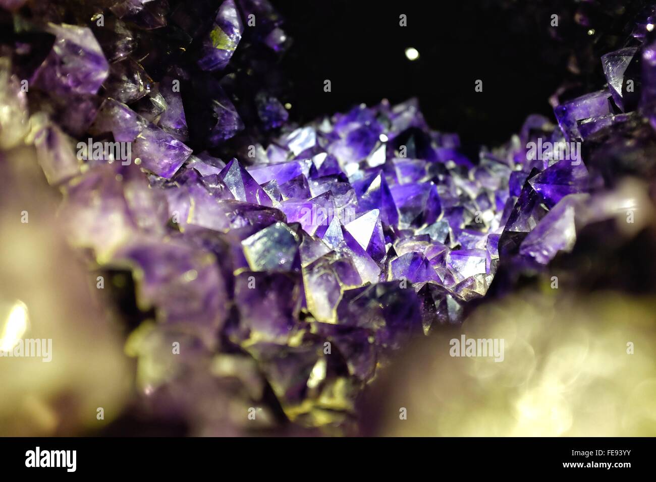 Crystal violet hires stock photography and images Alamy
