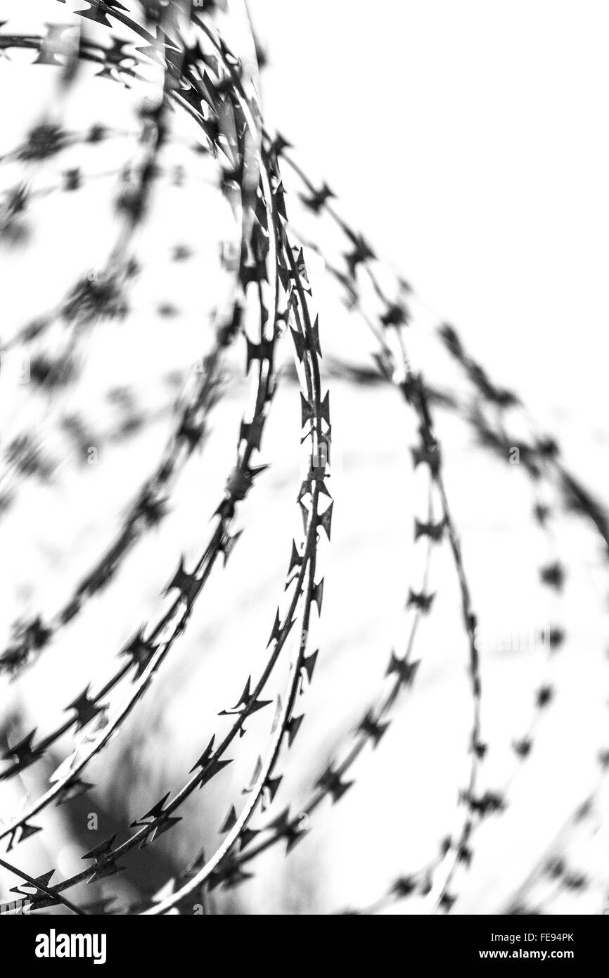 Security fence with razor wire Stock Photo