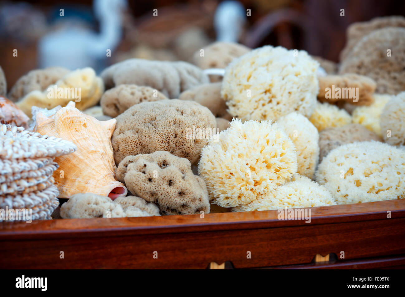 Sea sponges for sale at a market Stock Photo Alamy