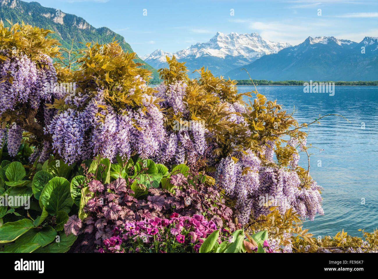 Spring Flowers am Quai des Fleures, Montreux, Lake Geneva, Switzerland