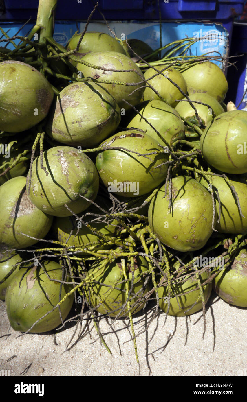 Green coconuts hires stock photography and images Alamy