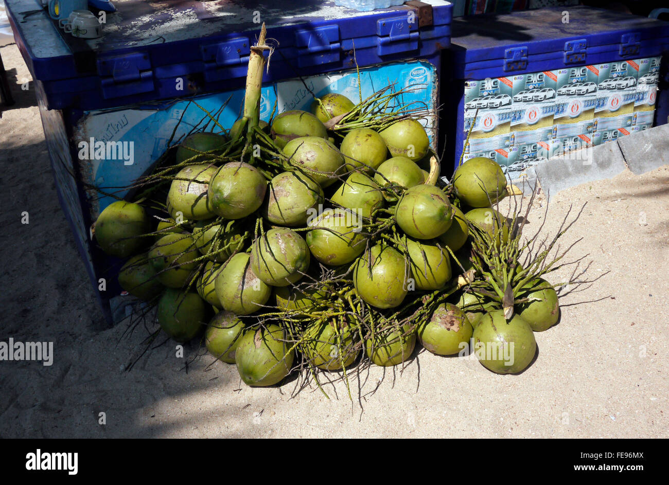 Green coconuts hires stock photography and images Alamy