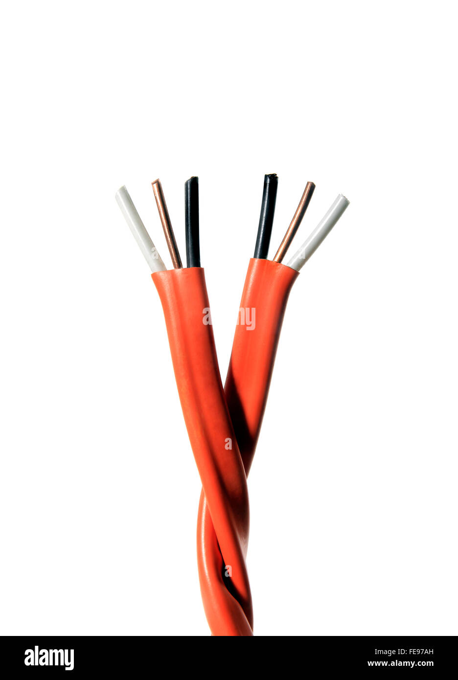 Still Life of Two Electrical Cables Wrapped Together on a White