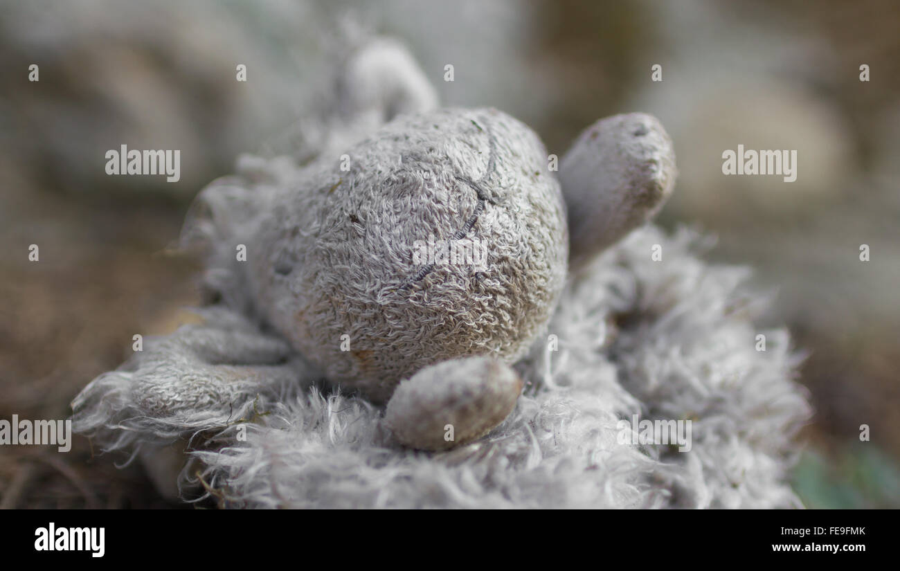 Close-up of lonely abandoned teddy bear toy in the forest. Stock Photo