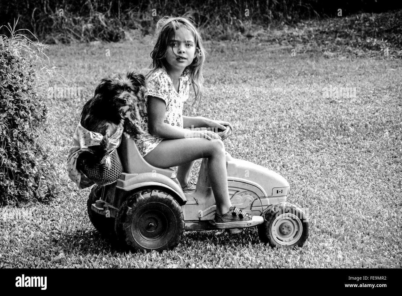 Young blonde girl is posing outdoor looking at the camera while having fun with a toy tractor. Argentina, near Buenos Aires. Stock Photo