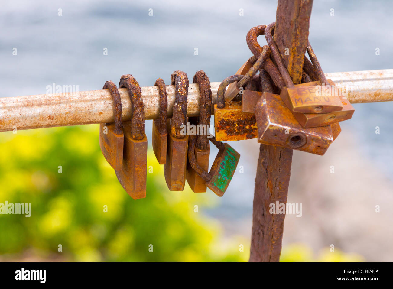 Rusty padlocks on a railing by the sea Stock Photo
