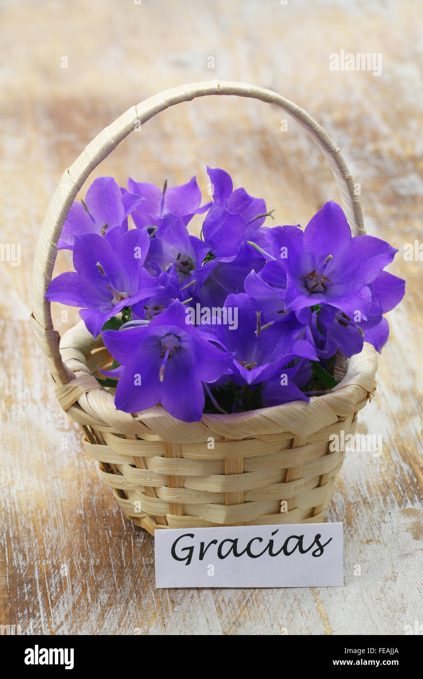 Gracias (thank you in Spanish) card with miniature wicker basket filled
