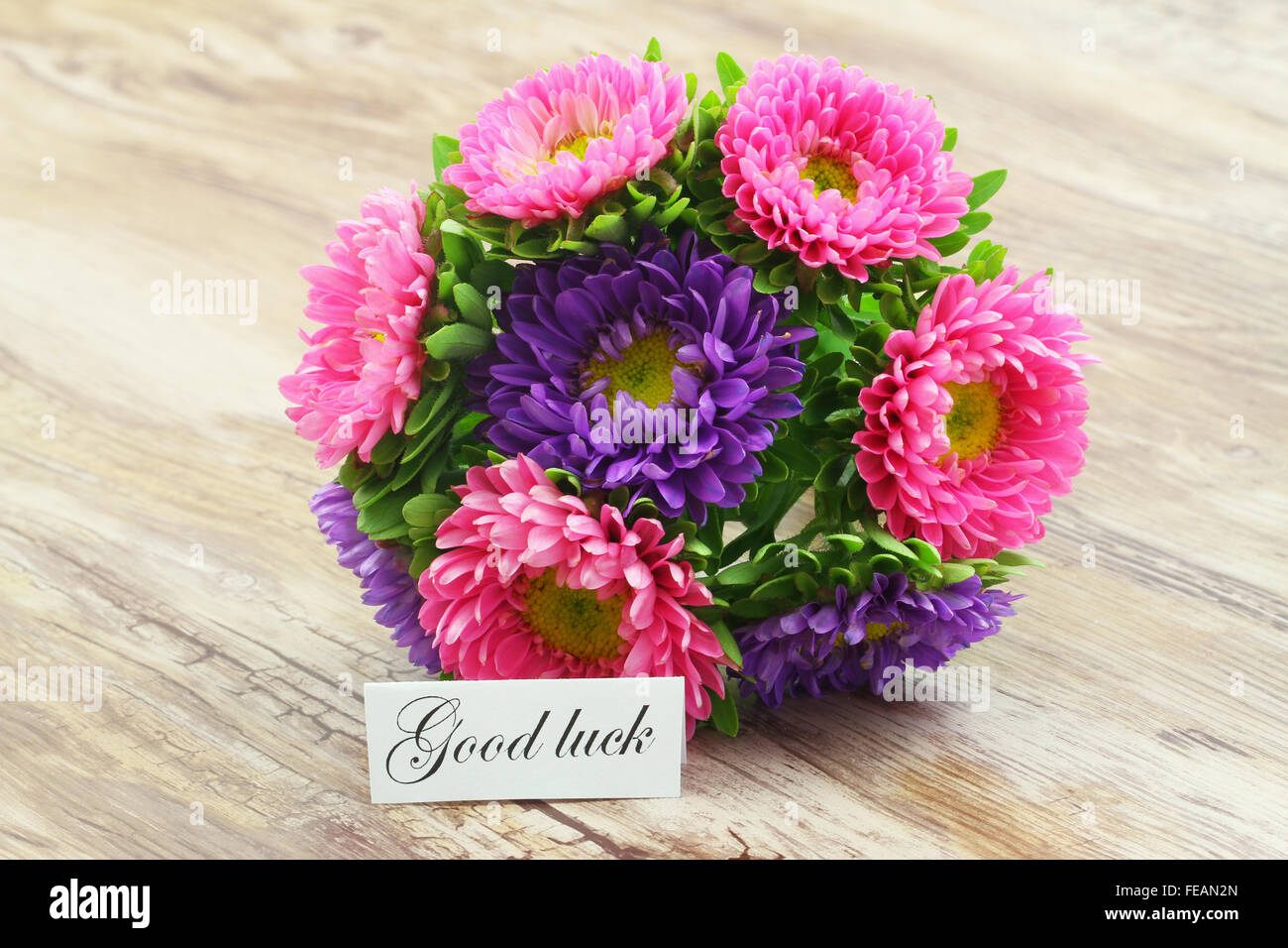 Good luck card with colorful daisy flower bouquet Stock Photo Alamy