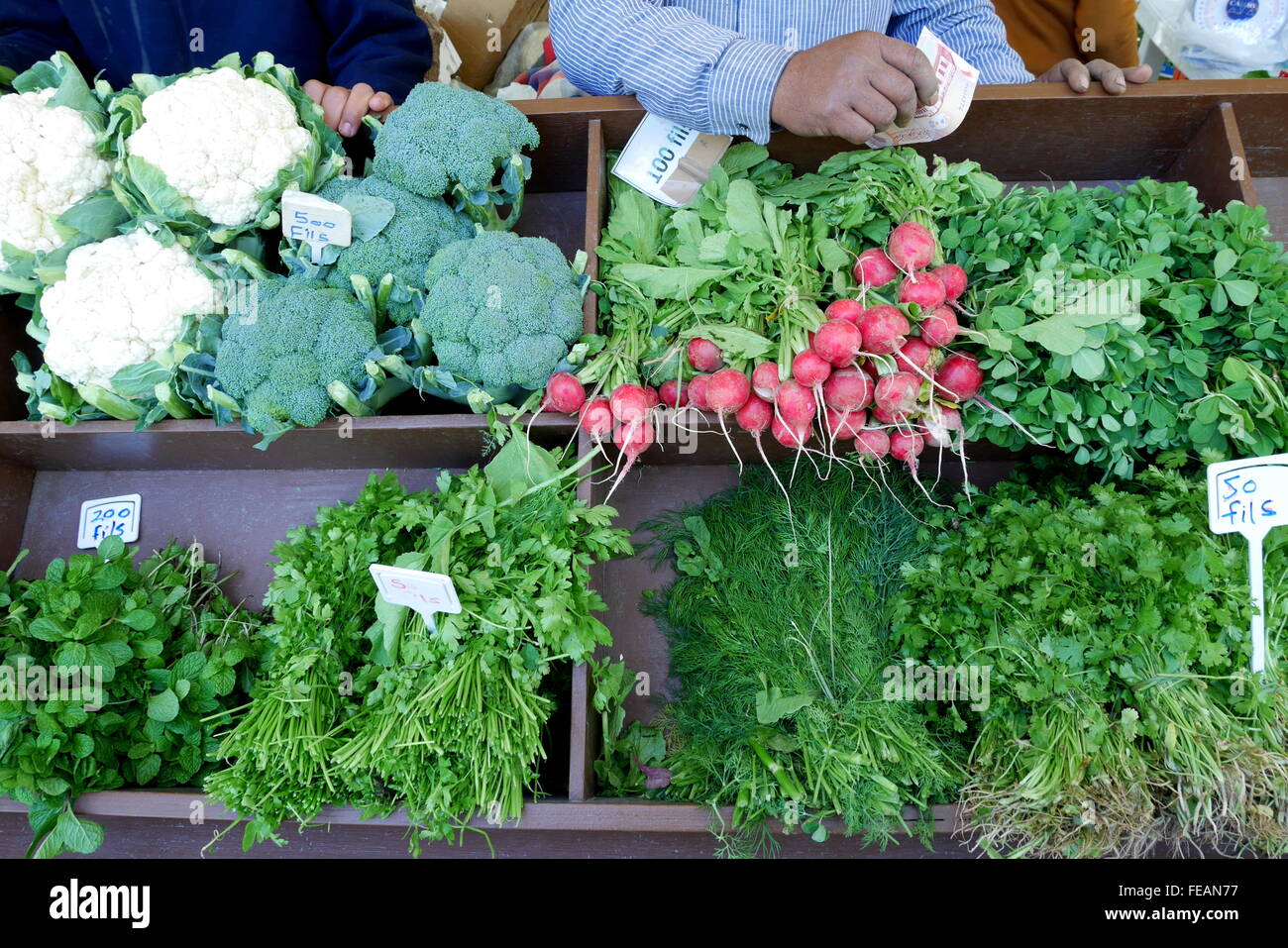 A stall selling vegetables and herbs at the farmers' market in Budaiya, Kingdom of Bahrain Stock