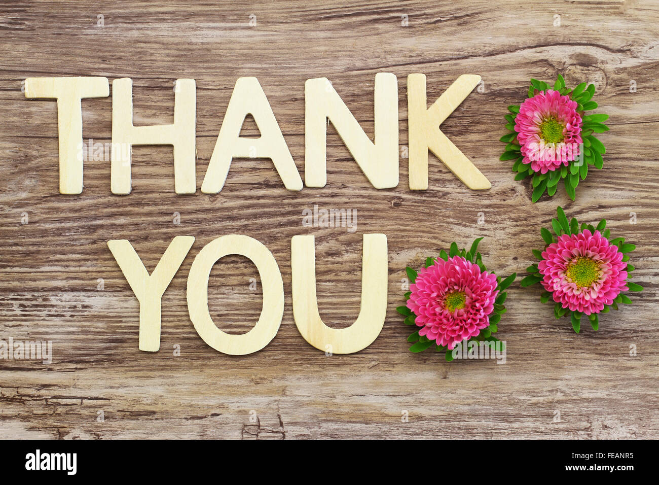 Thank you written with wooden letters and pink daisy flowers Stock Photo