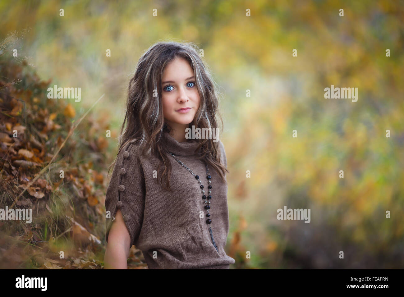Portrait of beautiful young girl on a background of yellow leaves Stock ...