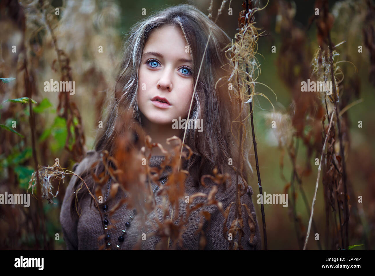 Portrait of beautiful young girl on a background of yellow leaves Stock ...