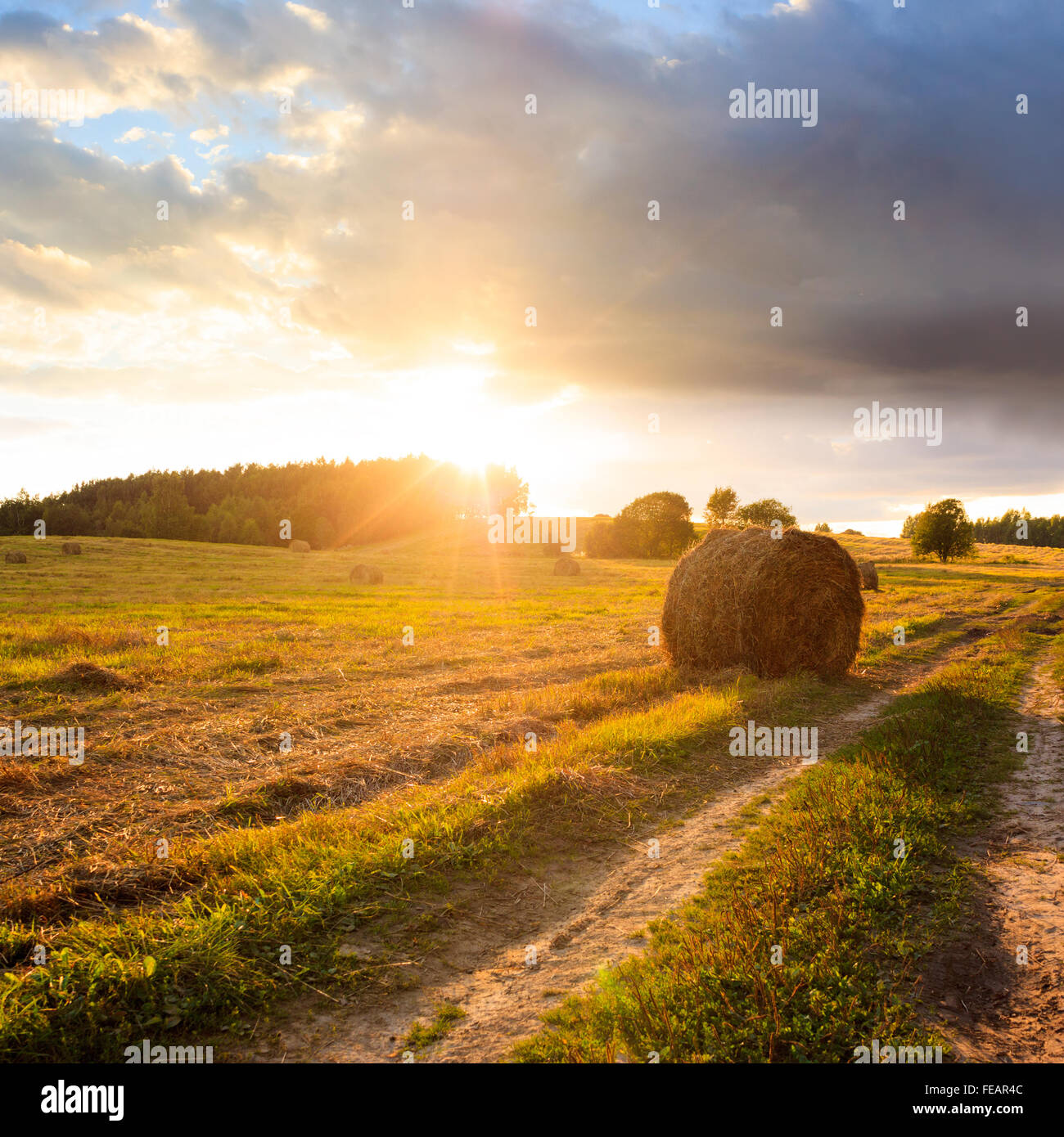 Summer Field with Hay Bales at Sunset Stock Photo - Alamy