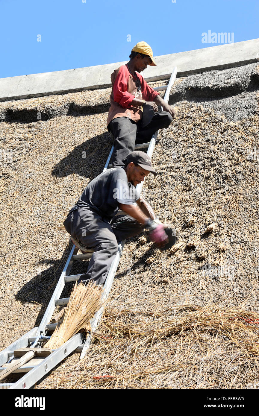Thatchers rebuilding a thatched roof, South Africa Stock Photo Alamy