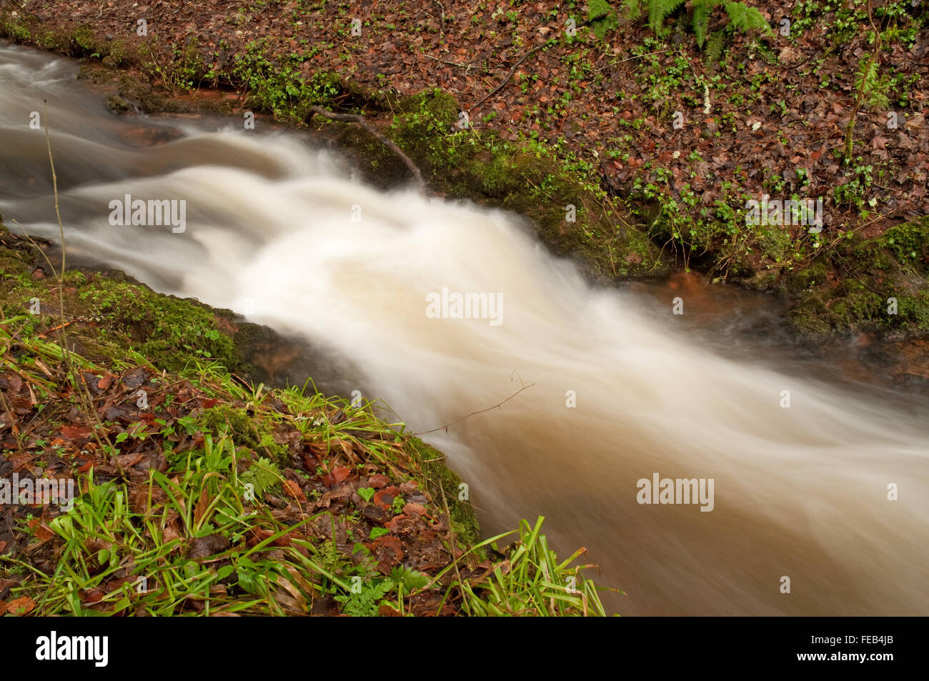 The Fairy Glen Stream near Rosemarkie Stock Photo