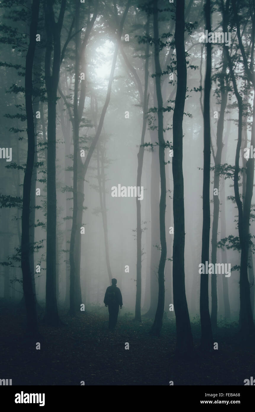 Silhouette of man trough trees in mysterious forest with fog on Halloween Stock Photo