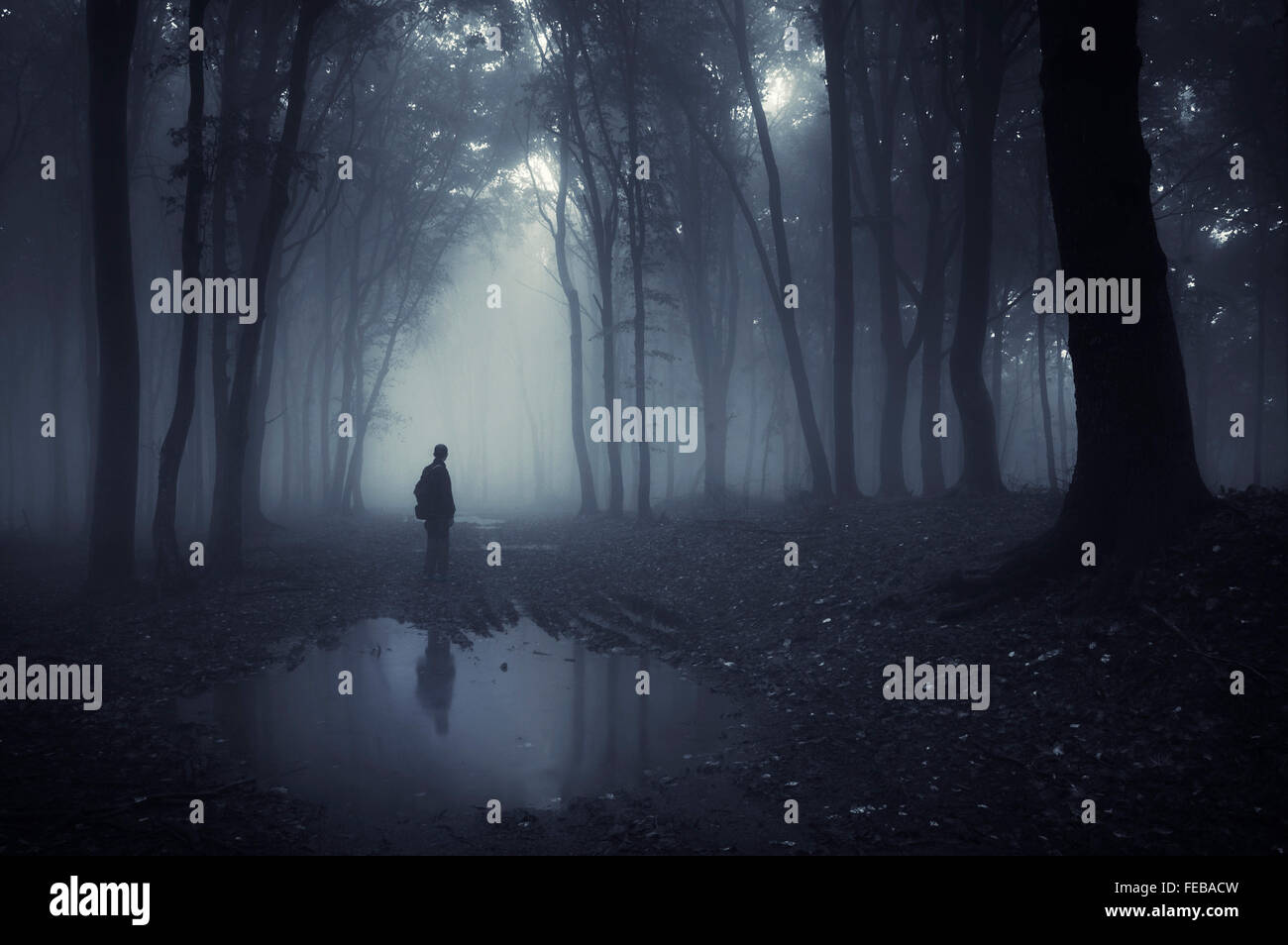 Man reflection in dark mysterious haunted forest with fog on Halloween night Stock Photo