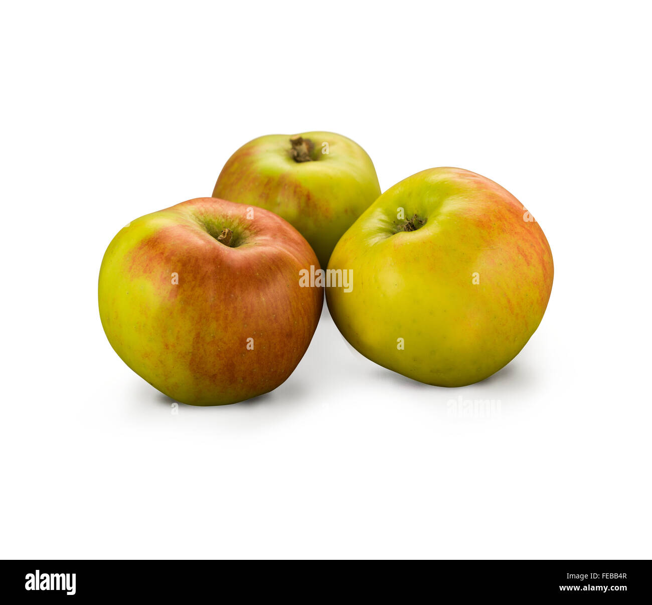 Organic Bramley Apples isolated on white Stock Photo