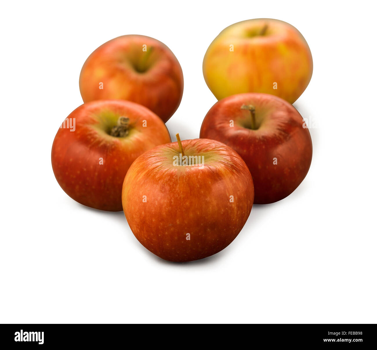 Organic Fiesta Apple isolated on white background Stock Photo