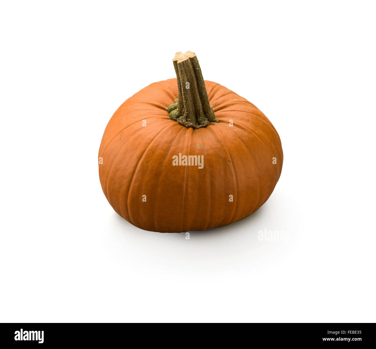 Organic Orange Pumpkin isolated on white background Stock Photo - Alamy