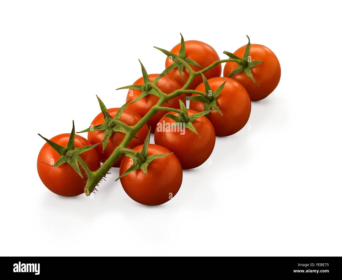 Tomatoes Cherry vine isolated on white background Stock Photo - Alamy