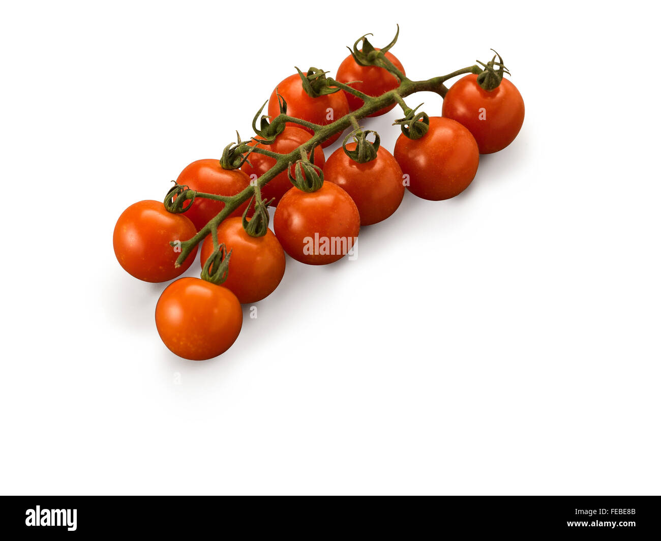 Tomatoes Cherry vine isolated on white background Stock Photo - Alamy
