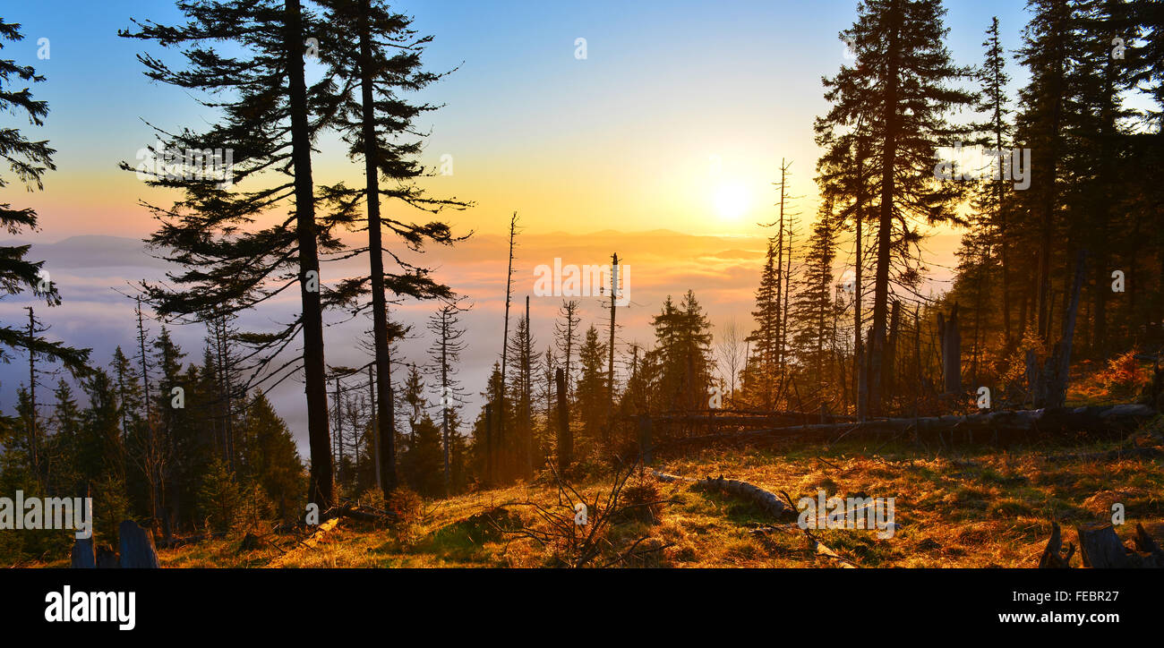 Rising sun above the spring highland Stock Photo - Alamy