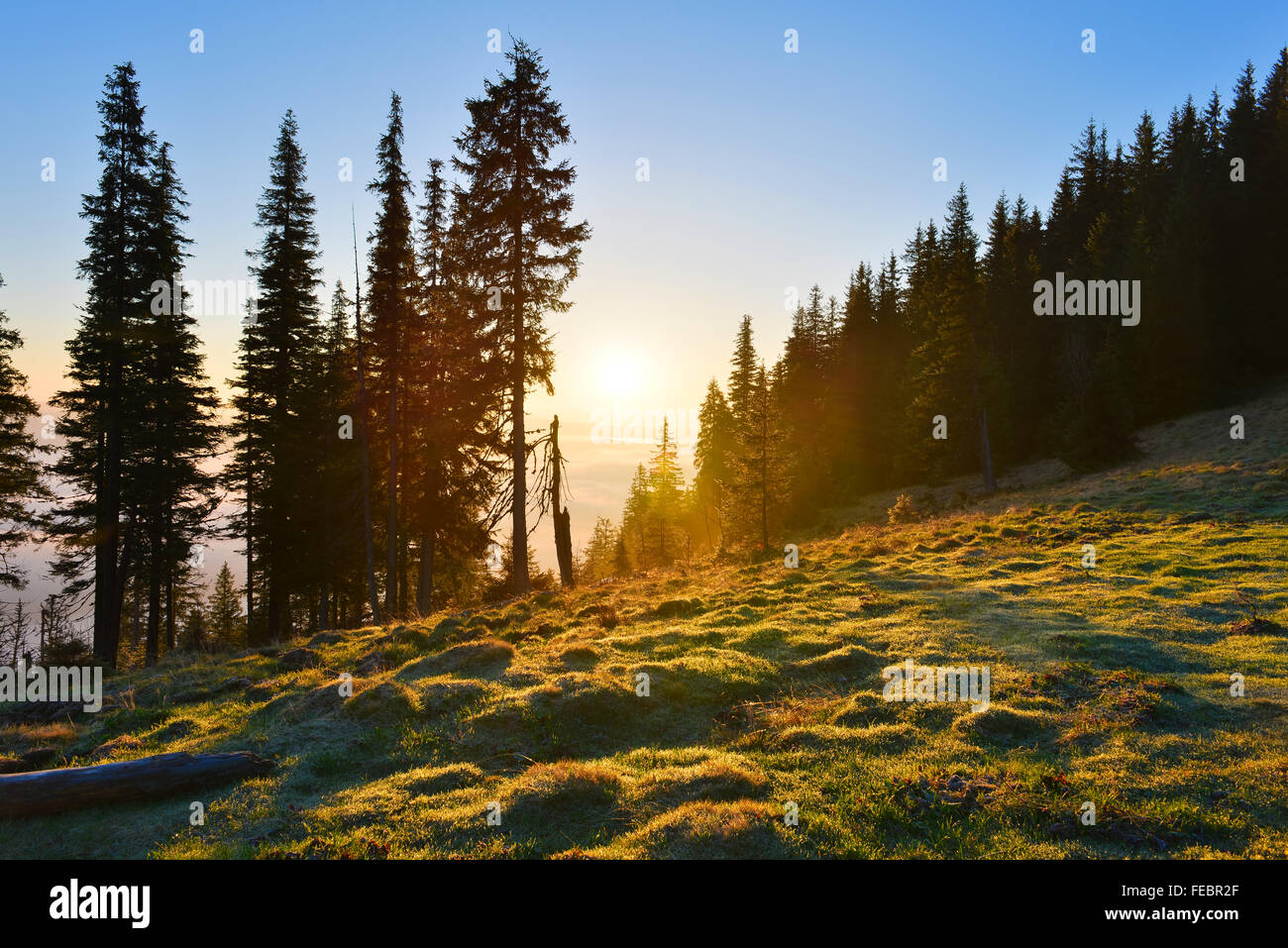 Sun above hi-res stock photography and images - Alamy
