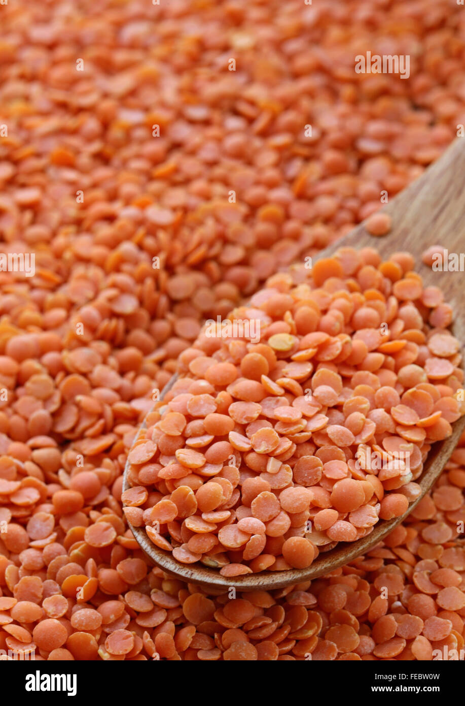 Natural organic red lentils for healthy food Stock Photo - Alamy