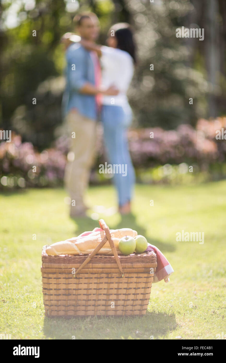 Picnic basket in the garden Stock Photo Alamy
