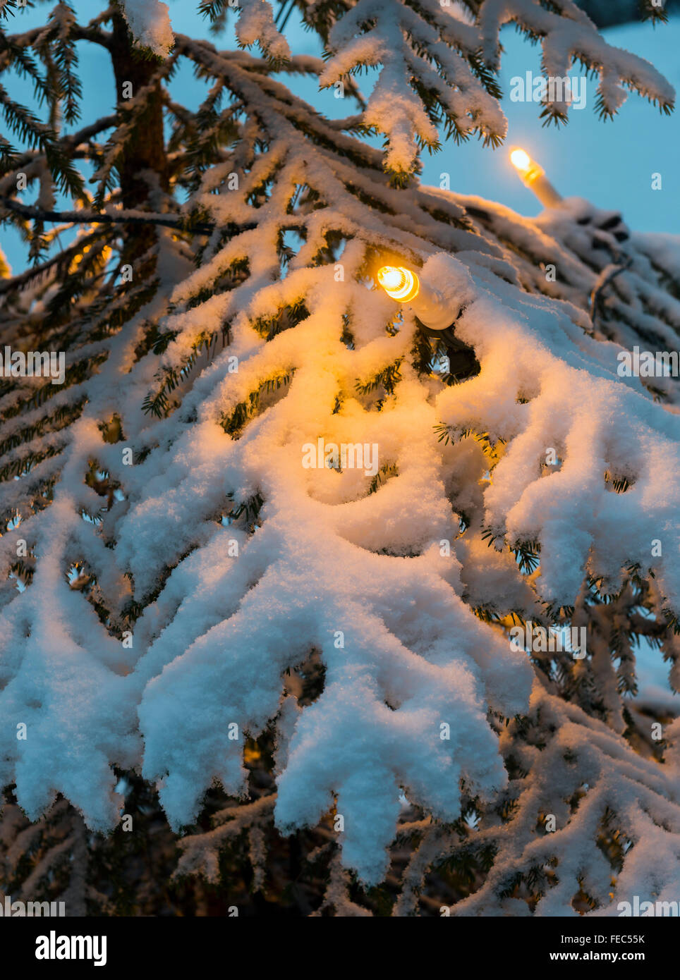 Outdoor Christmas tree Stock Photo