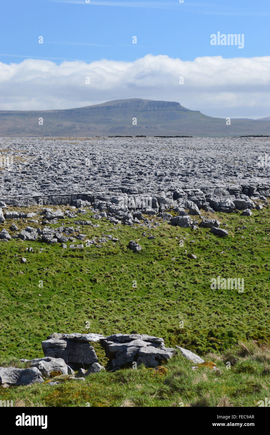 Pen-y-ghent from the Limestone Pavements at Moughton Scars, Crummack Dale, Yorkshire Dales. Stock Photo