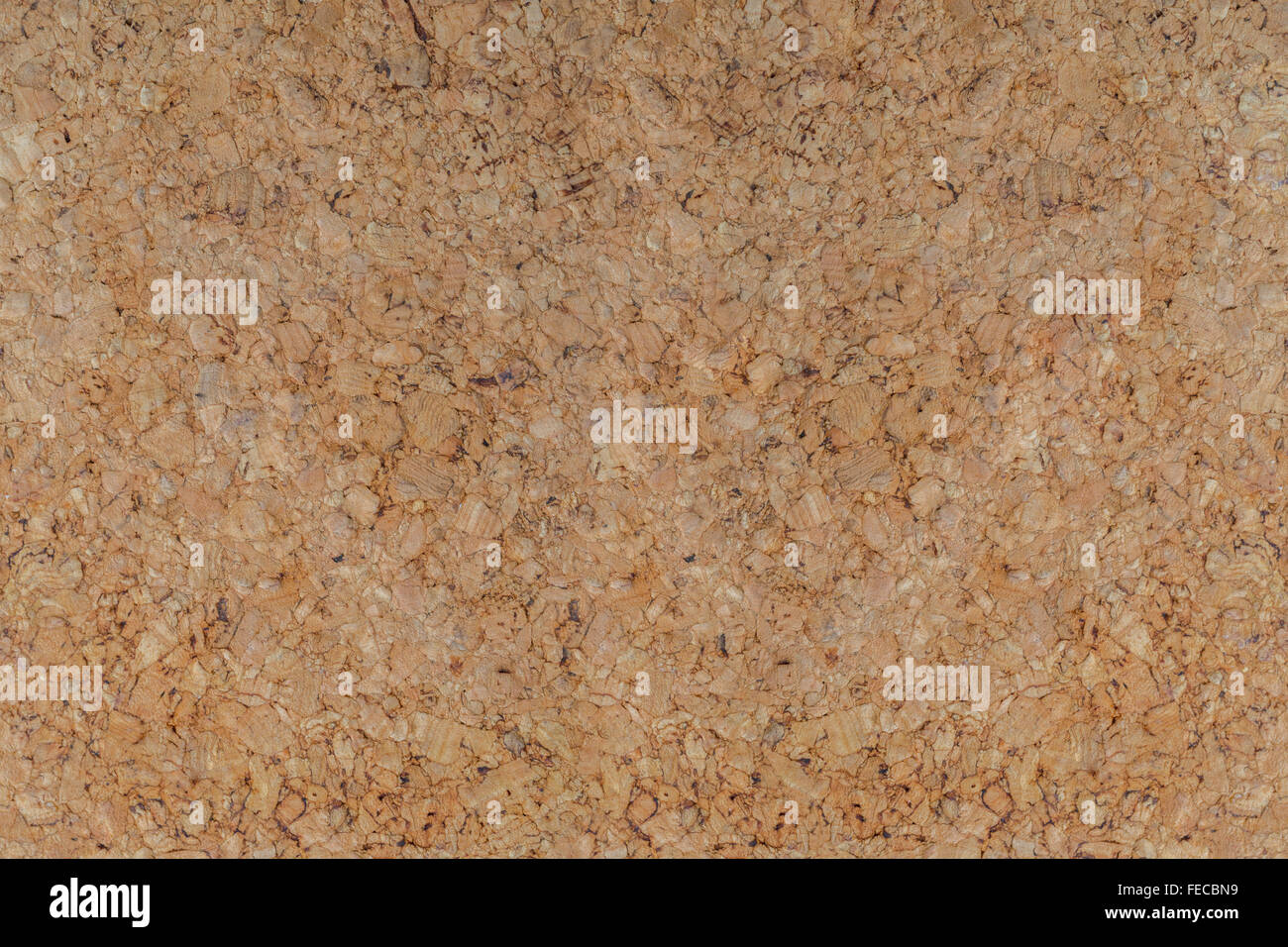 close-up view of a cork board texture Stock Photo