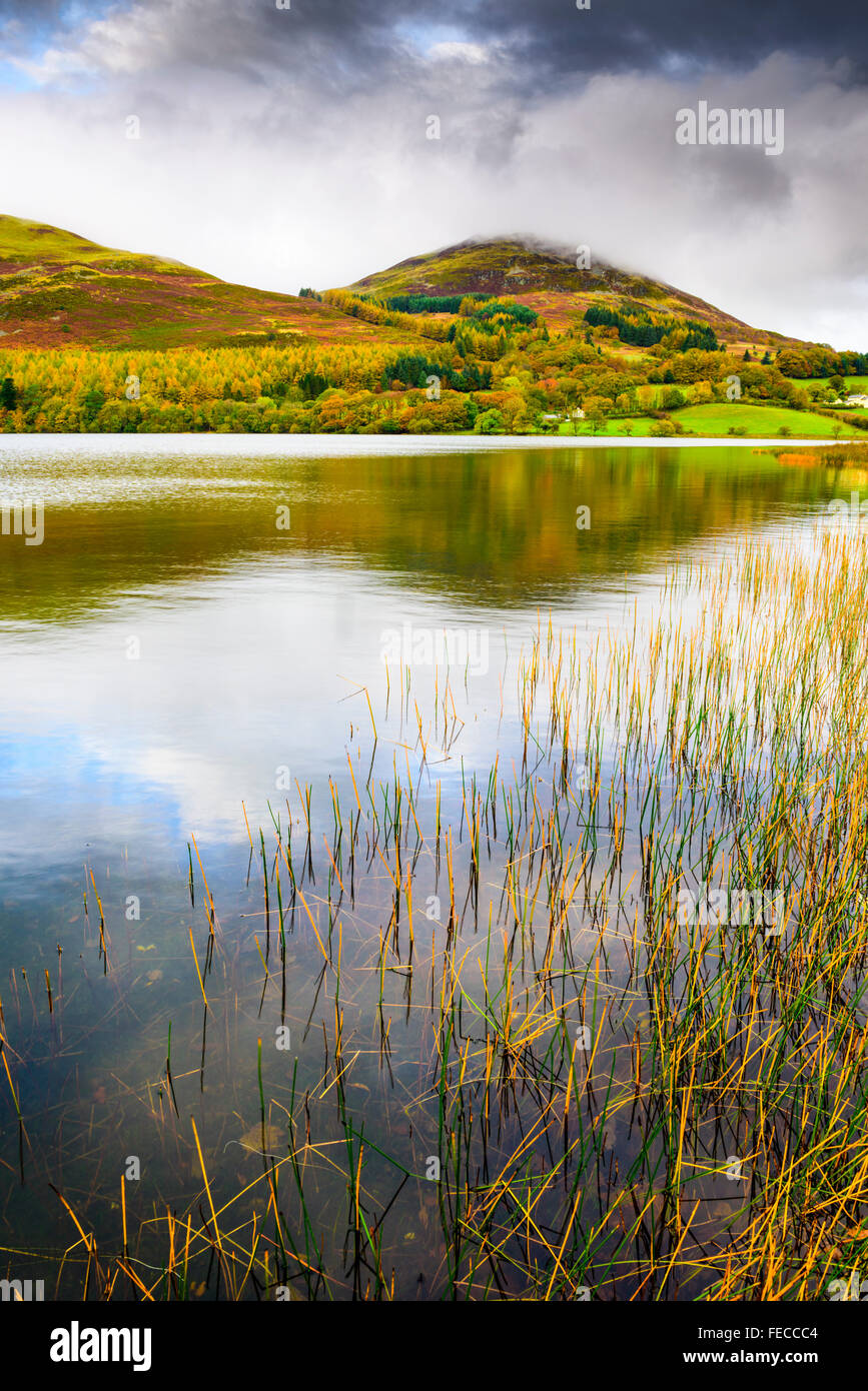 Loweswater and Low Fell in the Lake District National Park, Cumbria, England Stock Photo