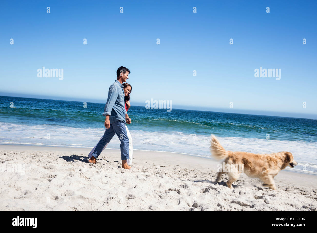 Cute couple walking their dog Stock Photo - Alamy
