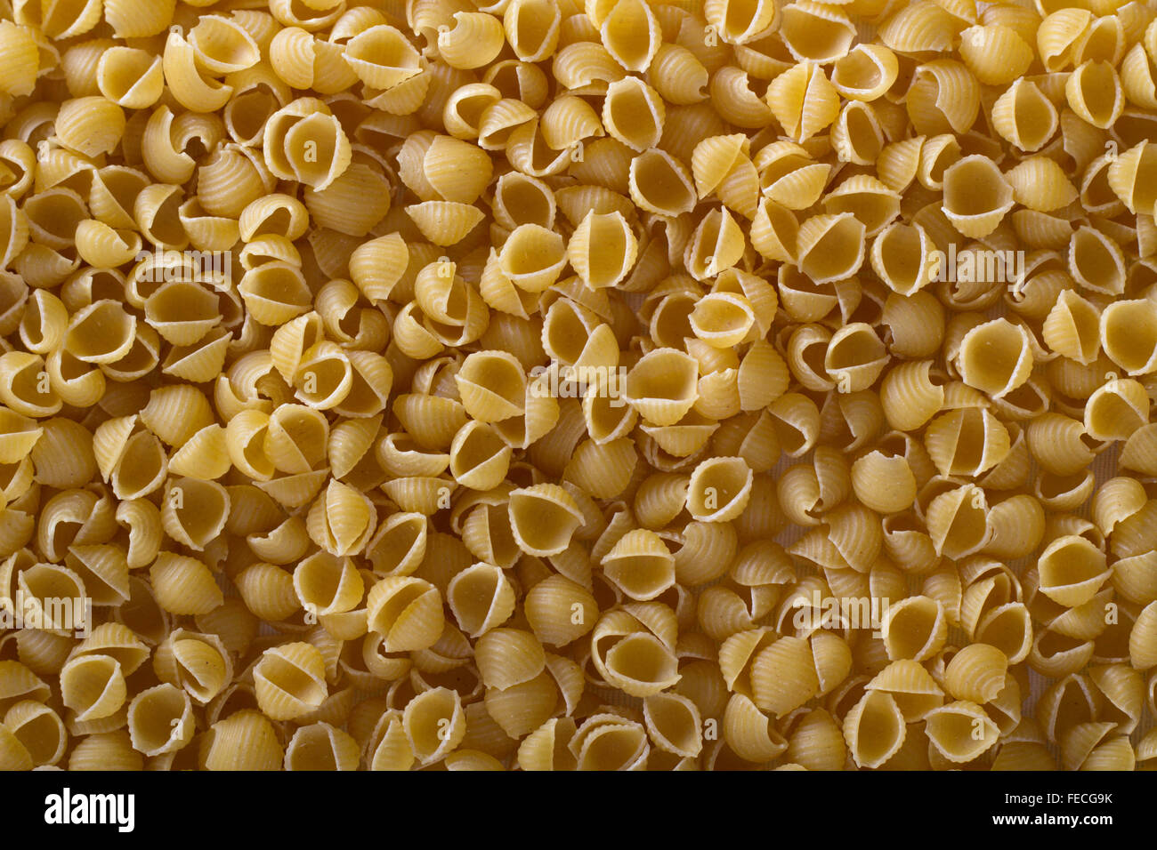 Download Pasta Conchiglie Background With Small Pasta Shapes Stock Photo Alamy PSD Mockup Templates