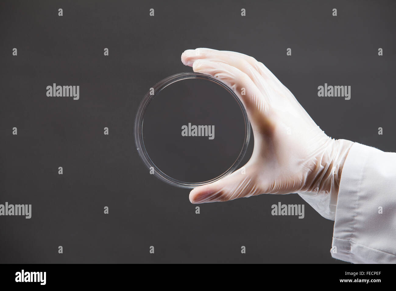 Close up image of scientist hands holding testing tube Stock Photo - Alamy