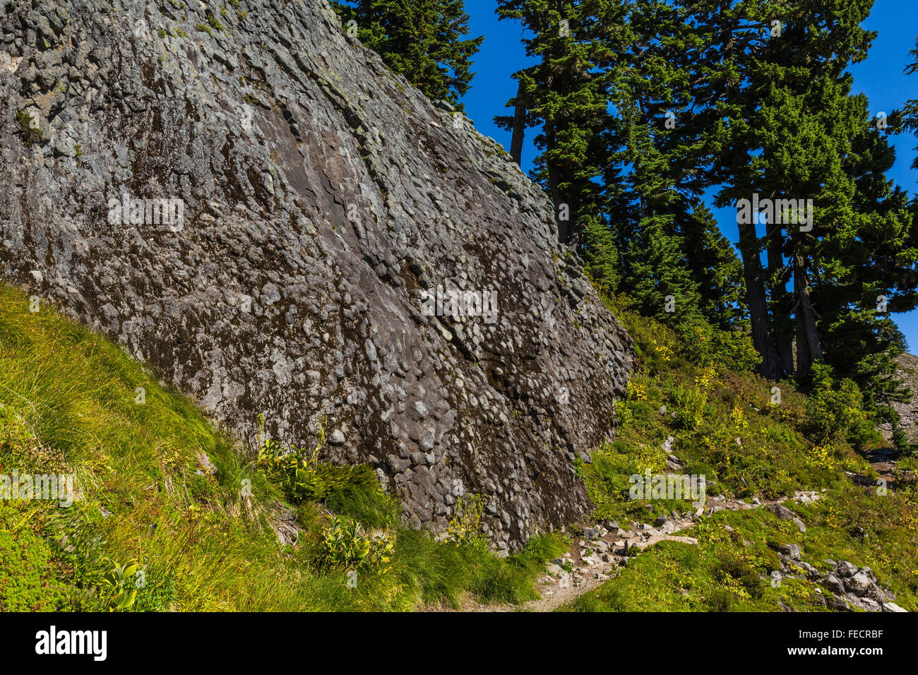 Andesite basalt along the Chain Lakes Trail near Mount Baker, Mt. Baker–Snoqualmie National Forest, Washington State, USA Stock Photo