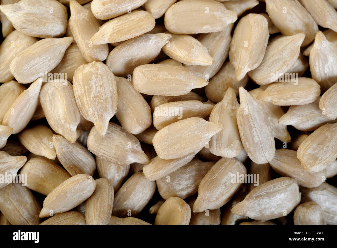 peeled sunflower seeds Stock Photo - Alamy