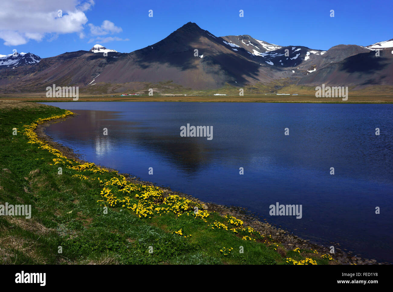 Farms and mountains east of Arnarstapi, spring,  Snaefellsness Peninsula, Iceland Stock Photo