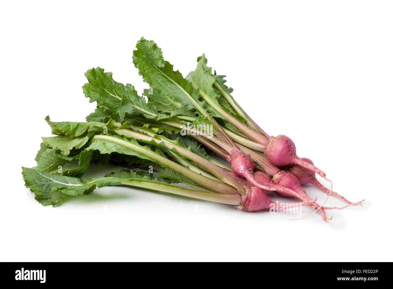 Fresh red baby turnips on white background Stock Photo Alamy