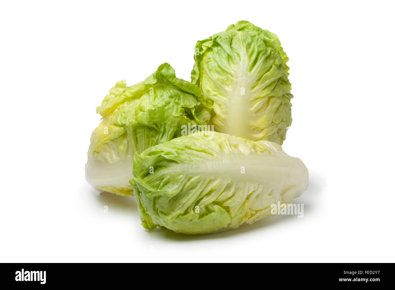 Fresh Baby gem lettuce on white background Stock Photo